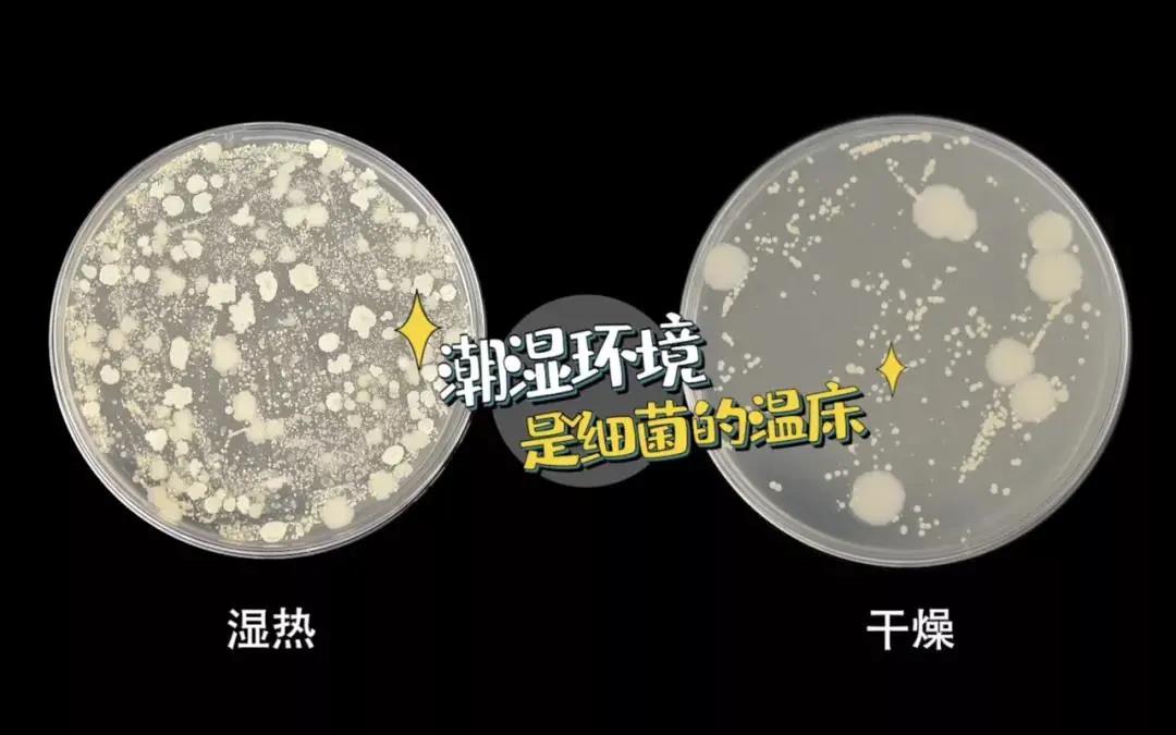 疫情反撲，居家防疫廚房重中之重！