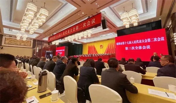 佳歌電器袁海濱參加我市第十七屆人民代表大會二次會議