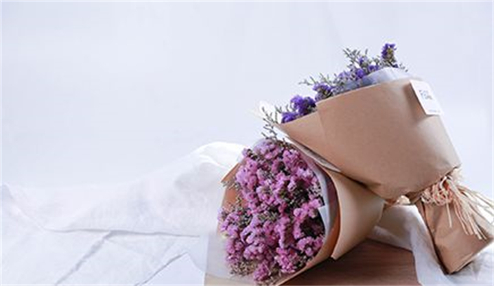 生活的理想，是為了理想的生活！